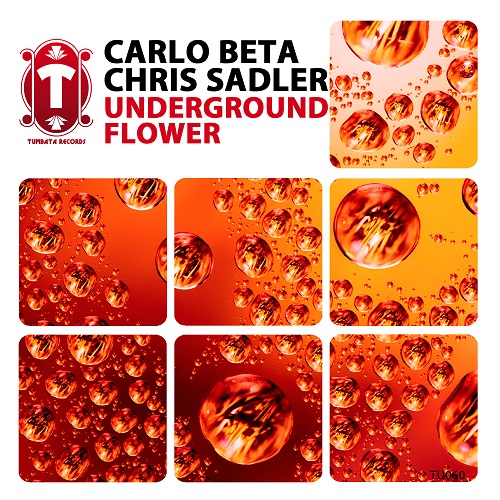 Carlo Beta & Chris Sadler - Underground Flower (Original Mix)